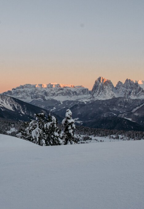 Met sneeuw bedekte bergtoppen en een witte winterhelling onder een roze ochtendlucht. | © Tobias Kaser