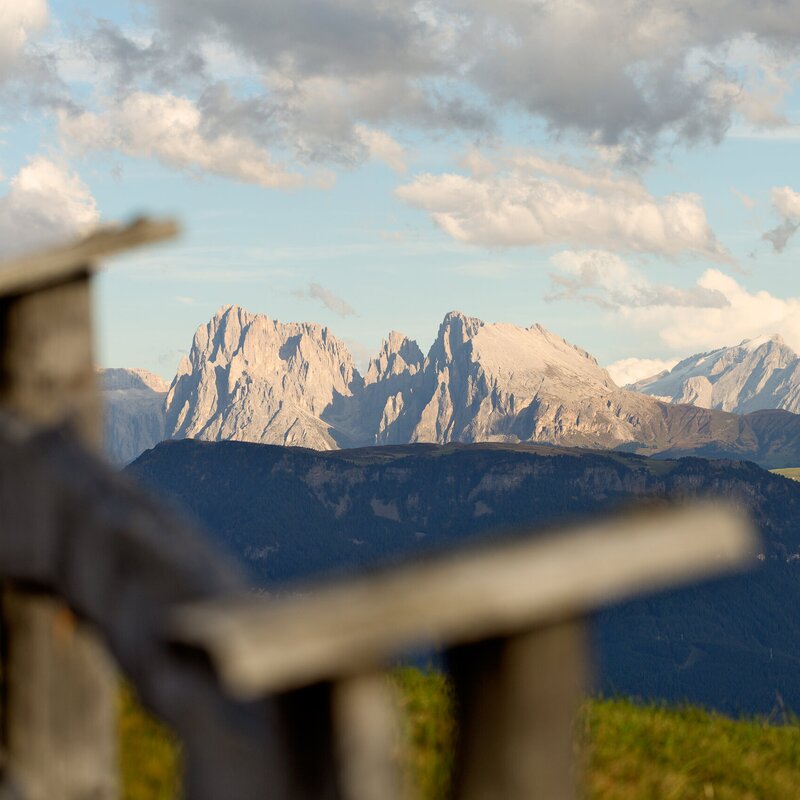 Panorama di montagna con cime rocciose, prato e staccionata in legno sotto un cielo nuvoloso | © (c) Wolfgang Gafriller