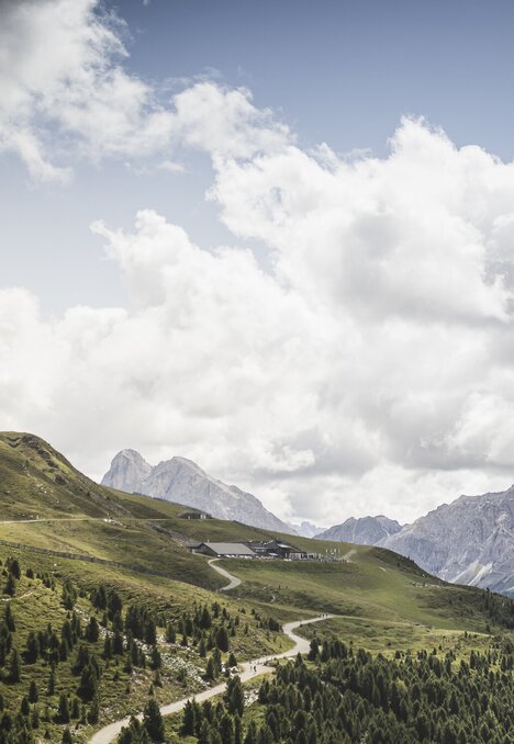 Strada tortuosa tra prati alpini verdi con cime rocciose e cielo nuvoloso a Brixen Südtirol | © (c) KOTTERSTEGER