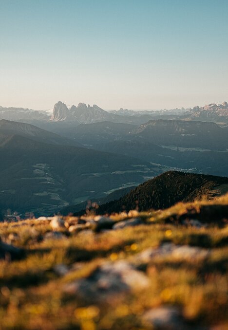 Sunlit alpine meadow with distant mountain peaks and a wide valley under a clear sky. | © (c) Tobias Kaser