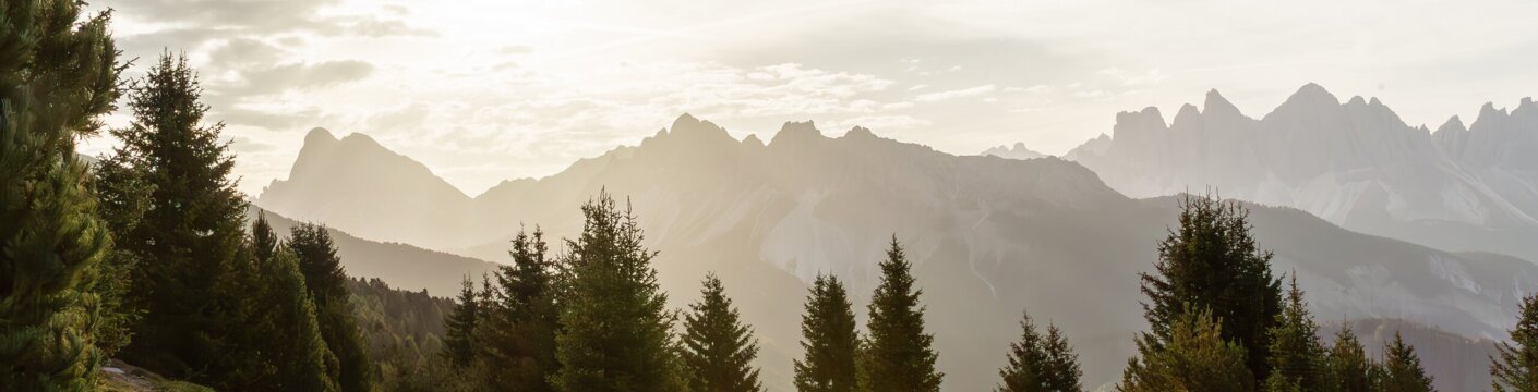 Bergwiese mit Kiefern und einem Pfad im warmen Abendlicht. | © F-TECH_Axel Bernhart