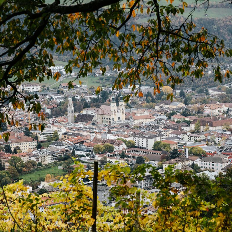 Blick auf Brixen Südtirol mit Altstadt und Dom, eingerahmt von herbstlichen Blättern. | © Silbersalz