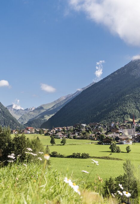 Sonniges Tal mit Dorf, grünen Wiesen und Berghängen unter blauem Himmel.