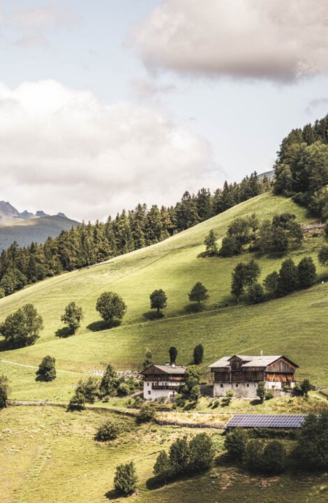 Sonnige Almhänge mit Wiesen, einzelnen Bäumen, Berggipfeln und einigen Bauernhäusern.