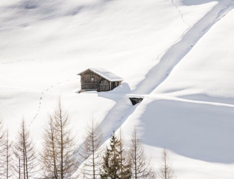 Met sneeuw bedekte hut in een stille winterse landschappelijke omgeving met kale bomen en sporen. | © Hannes Niederkofler
