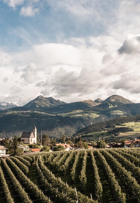 Vineyards below a village and church in a valley with mountain views in Brixen Südtirol