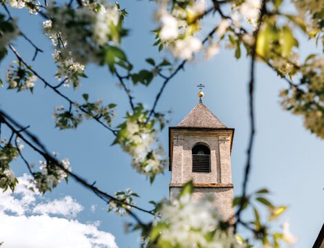 Campanile incorniciato da rami in fiore sotto un cielo azzurro