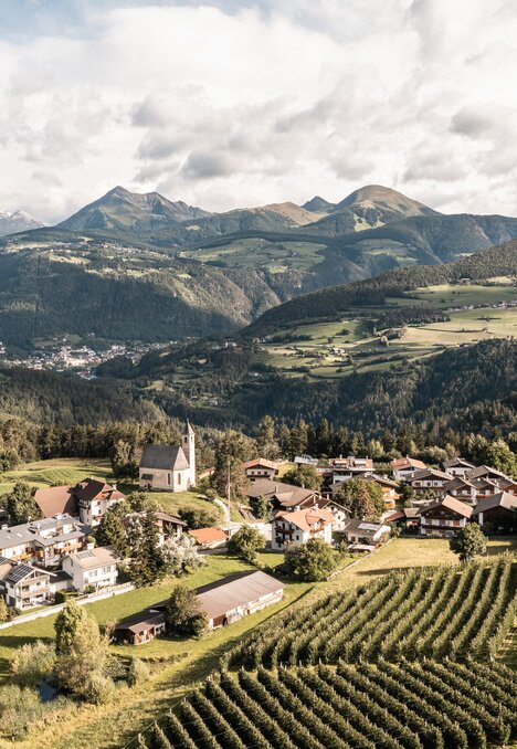 Luftaufnahme eines Dorfes im grünen Tal mit Weinbergen und Berggipfeln unter wolkigem Himmel.