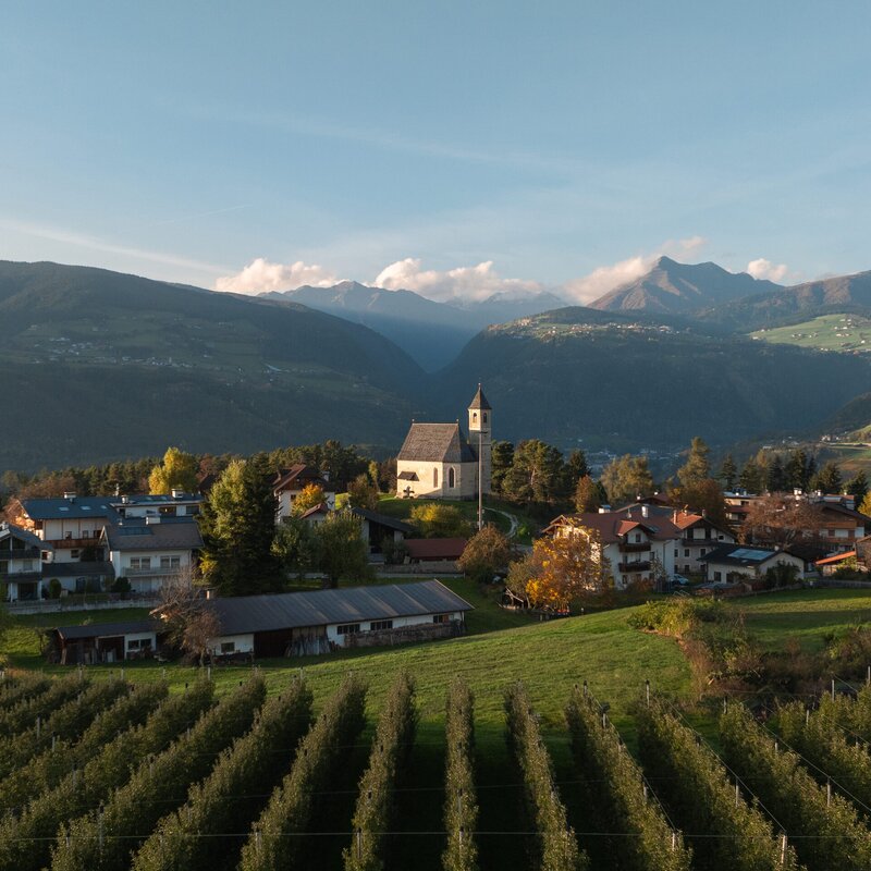 Dorf mit Kirche, grünen Feldern und Weinreihen vor den Bergen