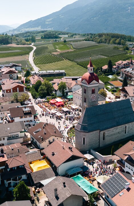 Aerial view of a village with church, rooftops and vineyards in Brixen Südtirol.