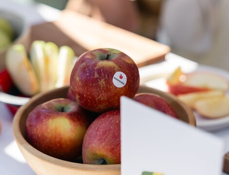 Red apples in a bowl with sliced apple pieces on a table.