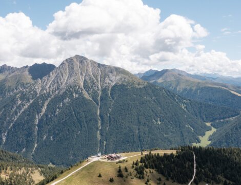 Prato alpino con sentieri e vista sulle montagne in una giornata di sole