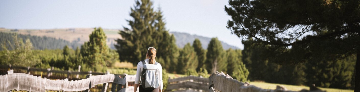 Woman walking along a fenced path through a sunny meadow with trees and mountains in the background.
