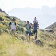 Family hiking along a sunny mountain trail in the Alps
