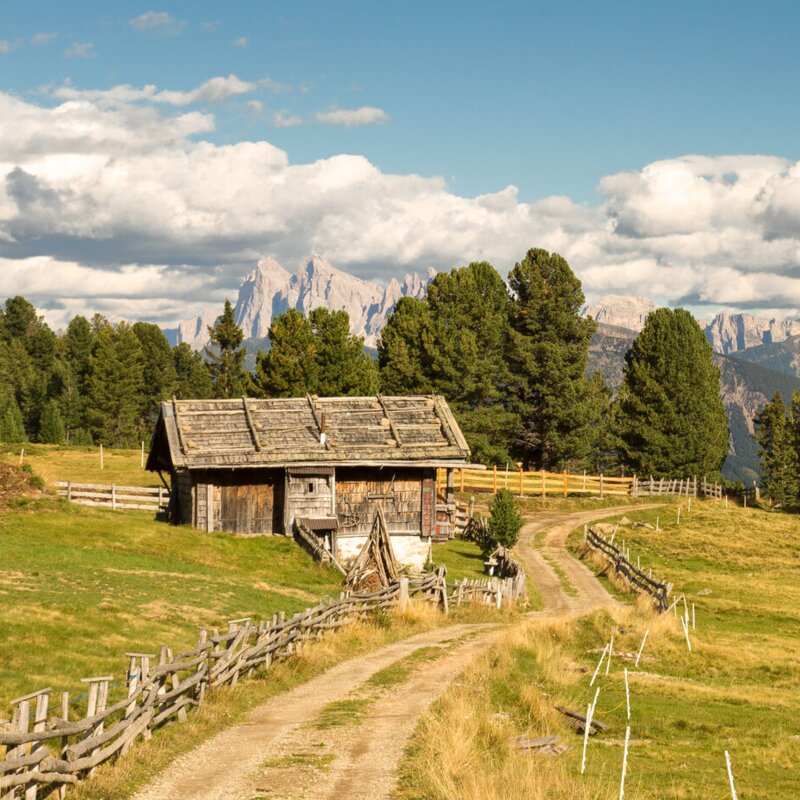 Prato alpino con una piccola baita, bosco e cime delle Dolomiti sullo sfondo