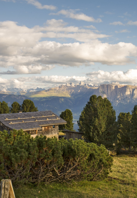 Holzhütte auf einer sonnigen Almwiese mit Bäumen und Berggipfeln unter wolkigem Himmel.