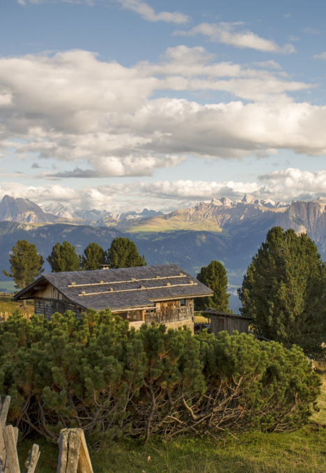 Baite in legno su un soleggiato prato alpino con alberi e cime di montagna sotto un cielo nuvoloso.