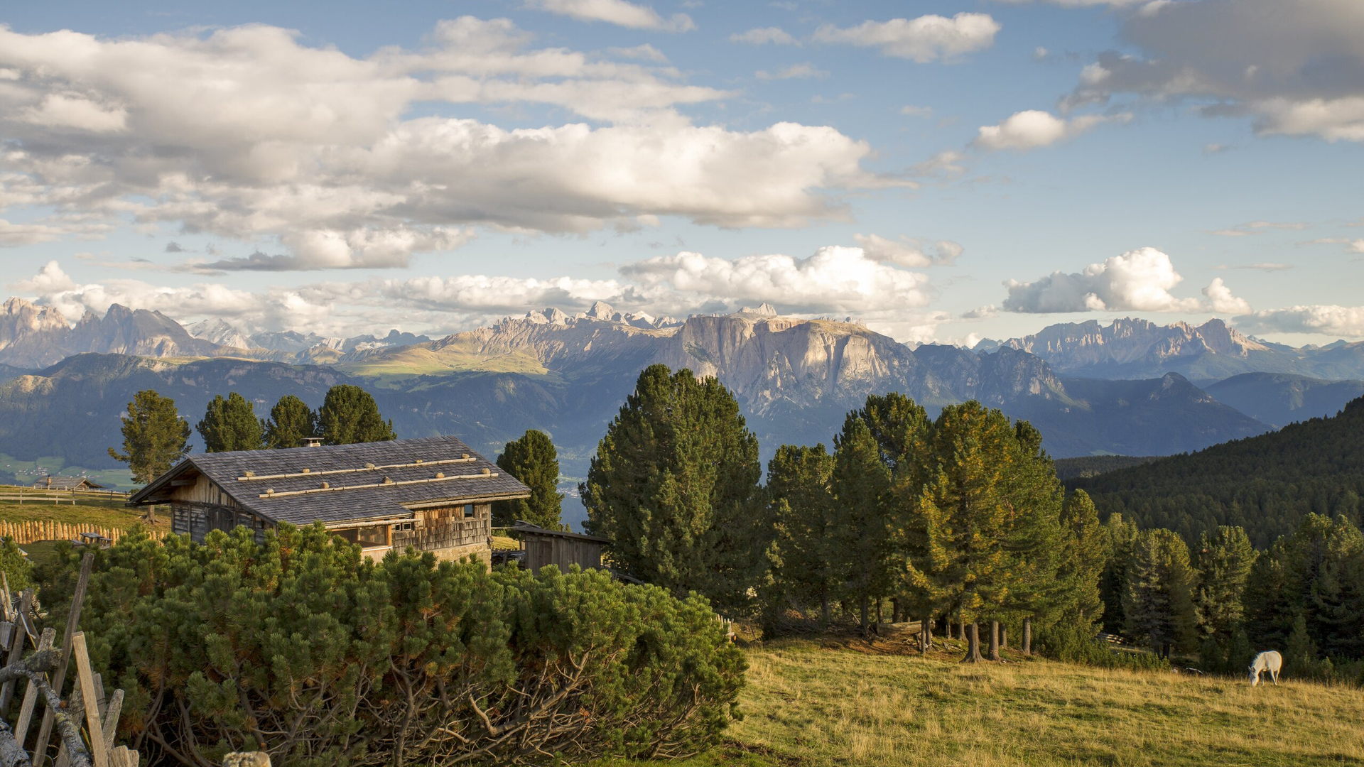 Wooden hut on a sunny alpine meadow with trees and mountain peaks under a cloudy sky.