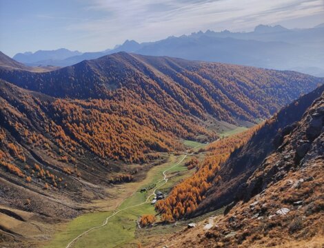 Gebirgstal mit herbstlich gefärbten Hängen, einer grünen Wiese und fernen Gipfeln unter Wolken.