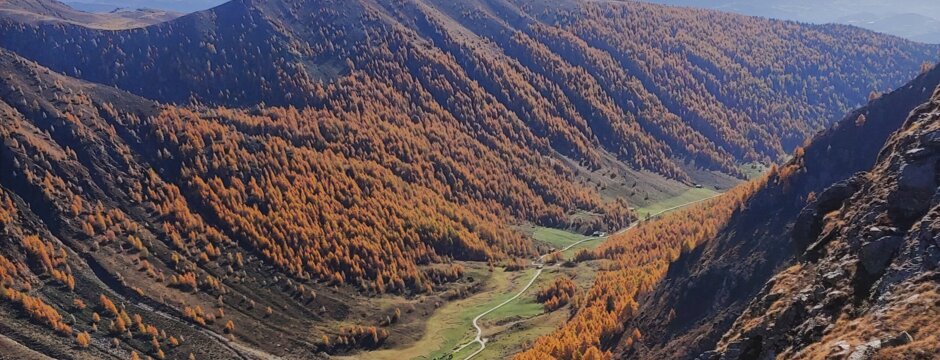 Valle di montagna con pendii dai colori autunnali, un prato verde e cime lontane sotto le nuvole.