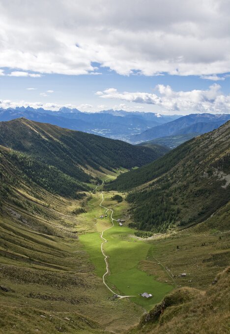 Grünes Alpental mit einem gewundenen Weg zwischen Berghängen und fernen Gipfeln
