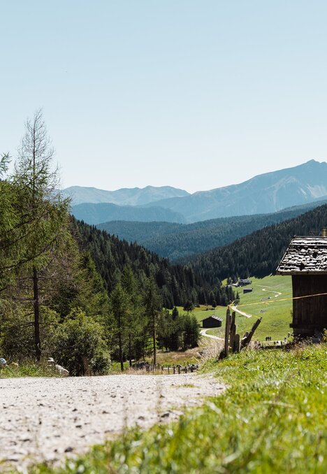 Bergweg an einer Holzhütte mit Blick ins grüne Tal in Brixen Südtirol.