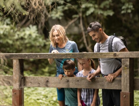 Family with two children standing at a wooden railing in a green forest