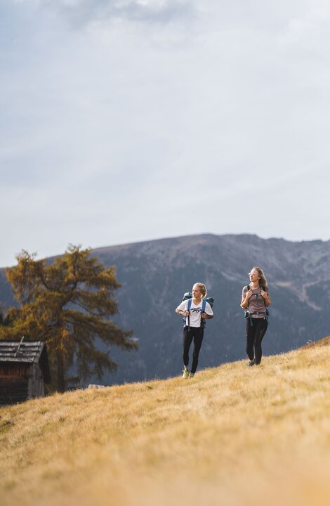 Zwei Wanderer gehen über eine Wiese mit Bergen im Hintergrund.
