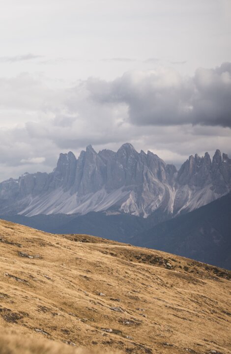 Grassy alpine slope with jagged Dolomite peaks under a cloudy sky