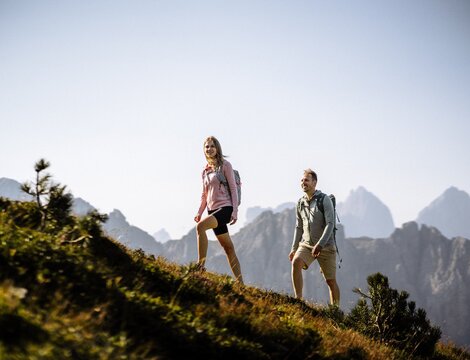 Two hikers on a grassy mountain ridge with alpine peaks in the background.