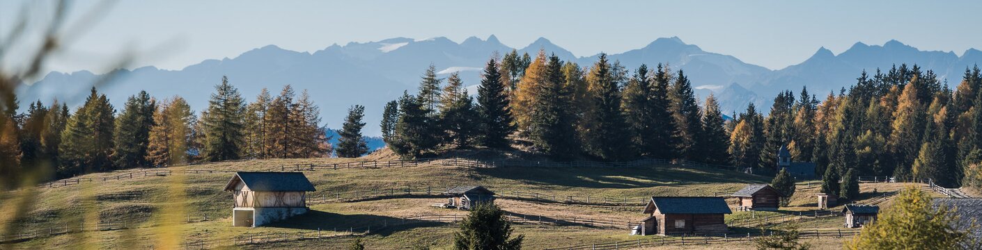 Alpine Wiese mit kleinen Hütten, Fichten und fernen Bergen in Brixen Südtirol.