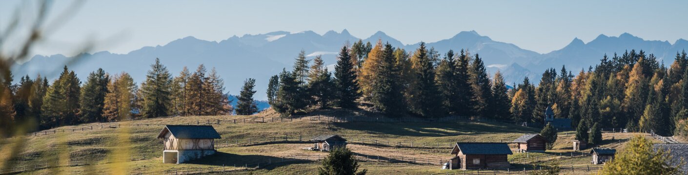 Alpine meadow with small huts, pine trees and distant mountains in Brixen Südtirol.
