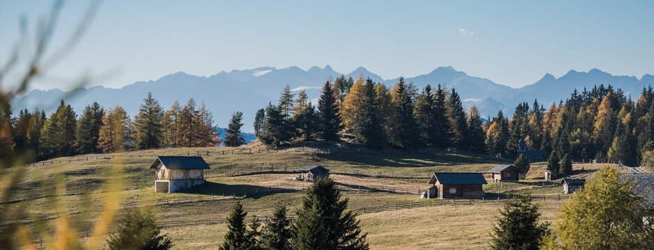 Alpine Wiese mit kleinen Hütten, Fichten und fernen Bergen in Brixen Südtirol.
