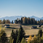 Prato alpino con piccole baite, abeti e montagne sullo sfondo a Brixen Südtirol.