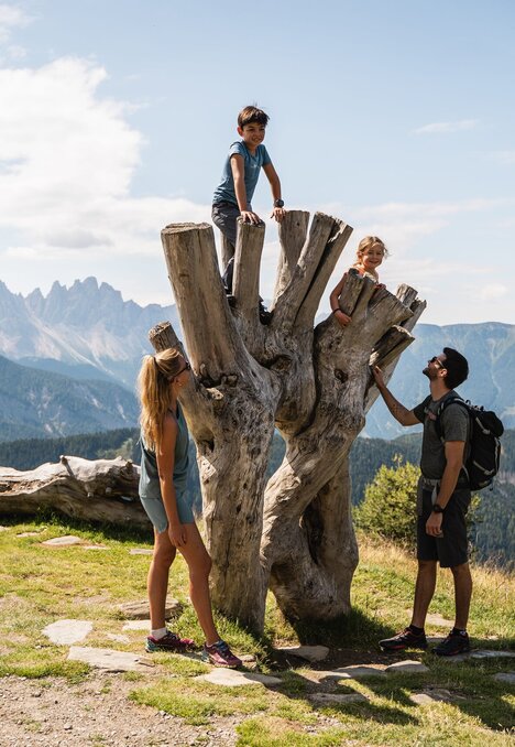 Famiglia con due bambini accanto a un grande ceppo con vista sulle montagne di Brixen Südtirol in una giornata di sole.