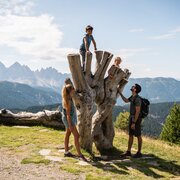 Family with two children at a large tree stump overlooking the Brixen Südtirol mountains on a sunny day.