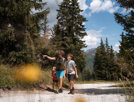 Famiglia in escursione su un sentiero nel bosco in montagna in una soleggiata giornata estiva.