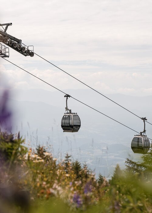 Cable cars glide over a hazy alpine valley with flowers and trees in the foreground.