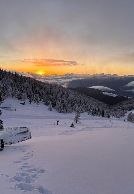 Battipista su una pista innevata all’alba con boschi e cime alpine in lontananza.