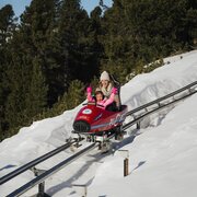 Donna e bambino su un alpine coaster rosso nella neve, tra gli alberi del bosco.