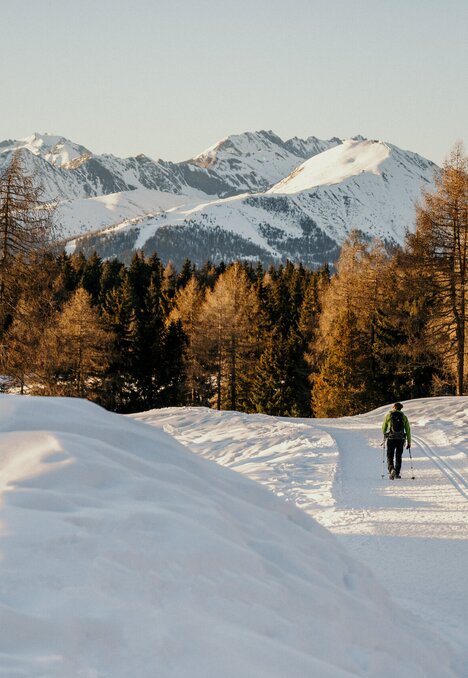 Sciatore di fondo su una pista innevata con larici e montagne innevate.