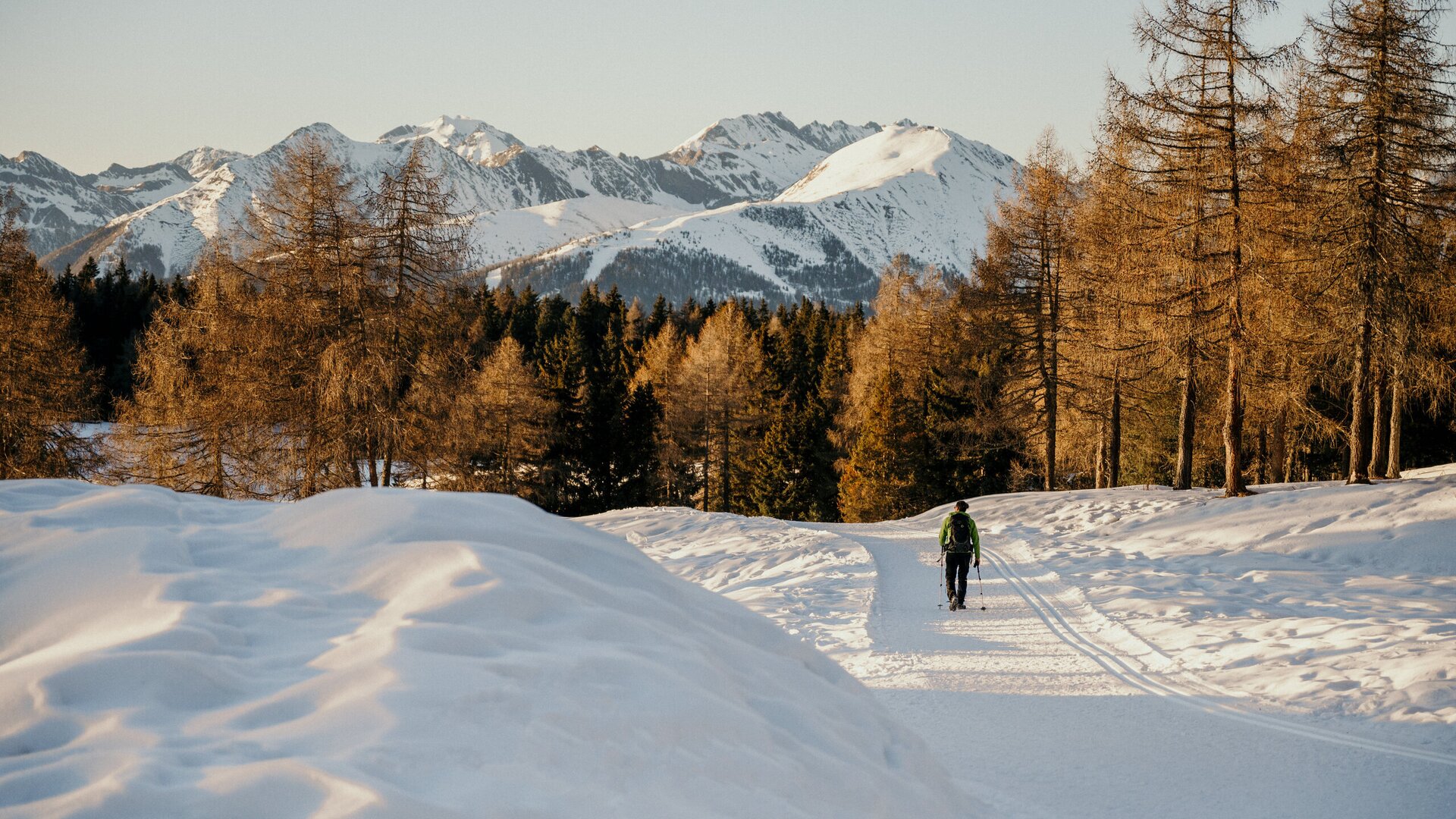 Langläufer auf einer verschneiten Spur mit Lärchen und schneebedeckten Bergen.