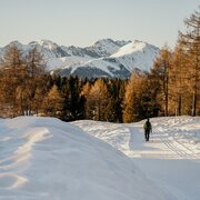 Langlaufer op een besneeuwde route met lariksen en bergtoppen.