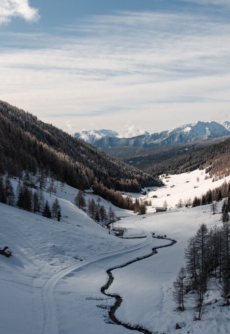 Verschneites Tal zwischen bewaldeten Hängen mit Berggipfeln in der Ferne