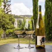 Due calici e una bottiglia di vino su un tavolo all'aperto, con giardino verde e cielo nuvoloso sullo sfondo. | © (c) Brixen Südtirol Dolomites Italy
