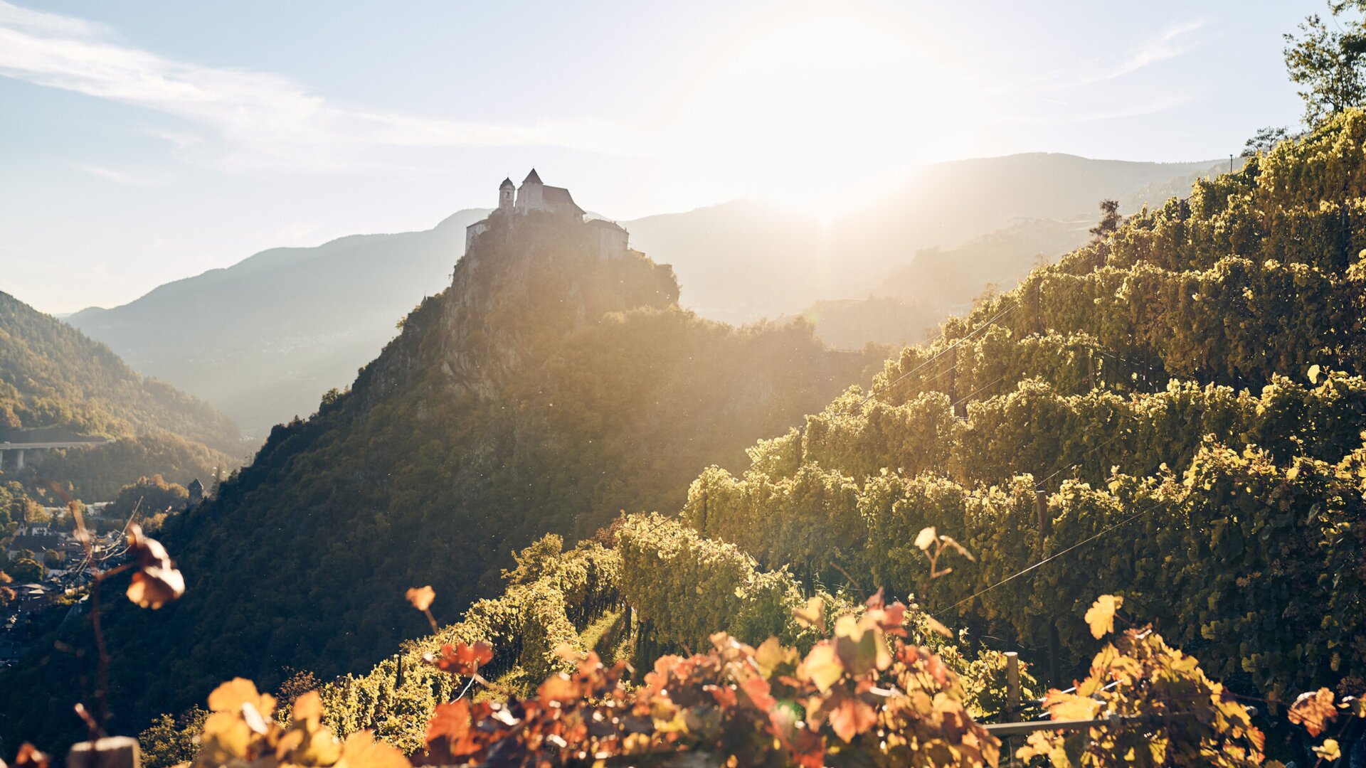 Sunlit terraced vineyards in a valley with a hilltop castle at sunrise.