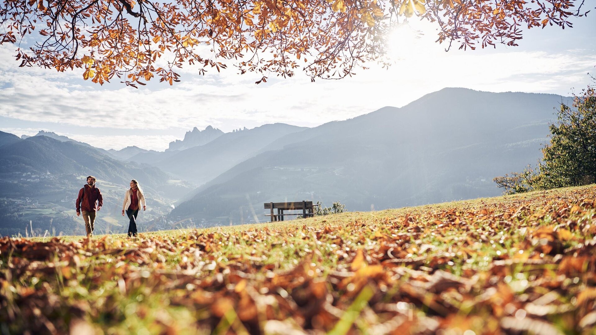 Due escursionisti camminano in un prato autunnale con vista sulle montagne e alberi illuminati dal sole. | © IDM Südtirol-Alto Adige/Manuel Ferrigato