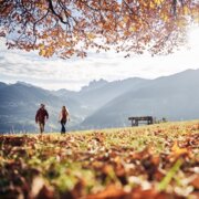 Due escursionisti camminano in un prato autunnale con vista sulle montagne e alberi illuminati dal sole. | © IDM Südtirol-Alto Adige/Manuel Ferrigato