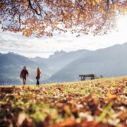 Two hikers walking through an autumn meadow with mountain views and sunlit trees above. | © IDM Südtirol-Alto Adige/Manuel Ferrigato