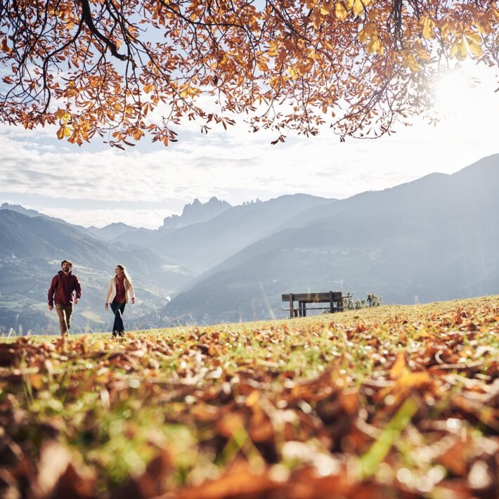 Two hikers walking through an autumn meadow with mountain views and sunlit trees above. | © IDM Südtirol-Alto Adige/Manuel Ferrigato